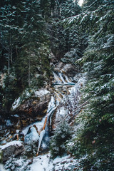 Wall Mural - winter spring fed creek waterfalls in the winter