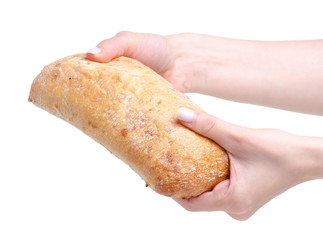 Wall Mural - Ciabatta with cheese in hand on a white background isolation