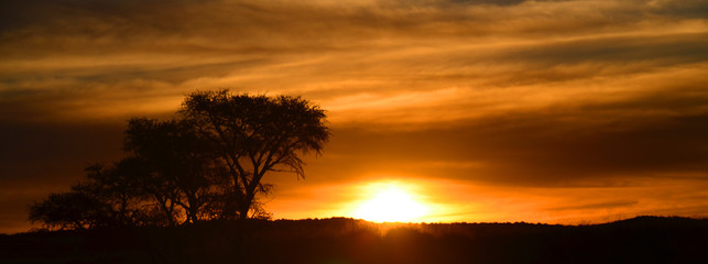sunset landscape of the namib-naukluft national park is a national park of namibia encompassing part