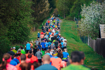 Wall Mural - Running colorful crowd in green spring nature, hobby athlete sport photo