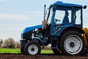 A tractor on the field plant potatoes and cultivates the ground , Planting potatoes with a small tractor