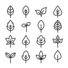 Green Leaves Icons - Thin Lines