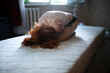 © Cavan Images - Girl crouching on mattress at home