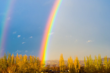  Natural double rainbow over green trees, summer city landscape
