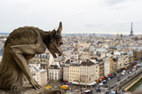 Fototapeta Paryż - Notre-Dame de Paris