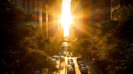 Wall Mural - Rays of sunlight shine on the cars and buildings along 42nd Street in Midtown New York City