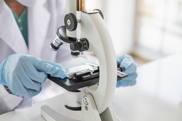 Wall Mural - a scientist hands working in laboratory with test tube microscope and solutions.
