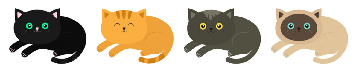 Wall Mural - Lying cat icon set line. Siamese, red, black, orange, gray color cats in flat design style. Cute cartoon character. Different eyes. White background. Isolated.