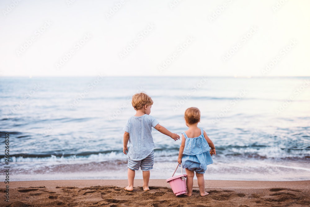 Fotografie Rear view of two toddler children playing on sand beach on ...