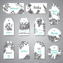 Hand Drawn Herbs And Wild Flowers Tags And Labels Vintage Collection Of Plants Vector Illustrations In Sketch Style