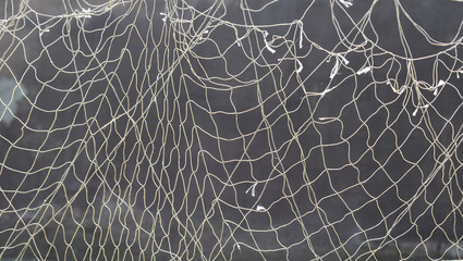 Fishing net.