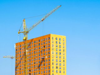 Wall Mural - Tower cranes on a construction