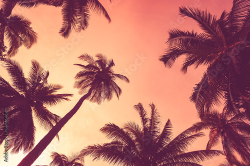 Tropical palm tree with colorful bokeh sun light on sunset sky cloud abstract...