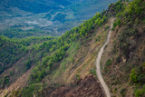 Fototapeta Dmuchawce - Spring season hill road in sub tropical mountain