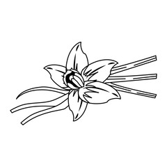 Wall Mural - Flowers nature drawing isolated in black and white