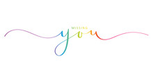 MISSING YOU Rainbow Brush Calligraphy Banner