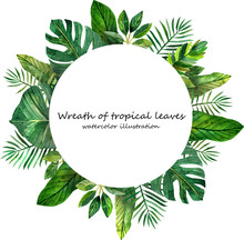 Wreath Of Watercolor Tropical Leaves