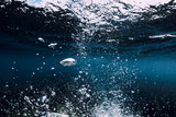 Fototapeta Do akwarium - Underwater sea with air bubbles. Ocean in underwater