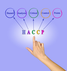 Sticker - Diagram of HACCP Regulatory Requirements