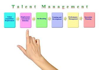 Poster - Components of Talent Management