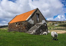 Old Stone Barn With Orange Roof And Grazing Sheep; Isle Of Skye, Scotland