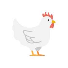 De dibujos animados de pollo Stock de Foto gratis - Public Domain Pictures