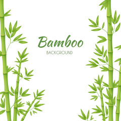  Green bamboo stems with green leaves on a white background. Vector illustration.
