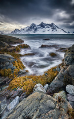 Wall Mural - winter landscape of norway lofotens