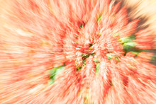 Abstract Photo Of Orange Flowers Zoomed Out Suitable For Background