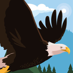 Sticker - beautiful bald eagle flying in the landscape