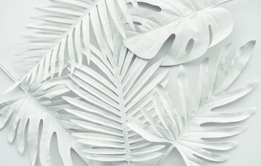 Wall Mural - Collection of tropical leaves,foliage plant in white color.Abstract leaf decoration design background