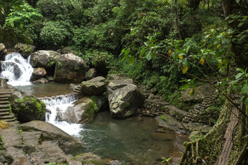 small waterfall nearby Double Decker Living Root Bridge in the Indian jungle