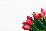 Fototapeta Tulipany - Beautiful red tulips on white wooden background in light. Happy Mothers day. Pink tulips border on white wood  border with space for text. Greeting card template. Hello spring concept