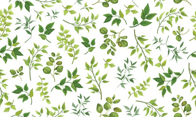 Wall Mural - Beautiful pattern seamless of different tree, natural branches, green leaves, herbs, hand drawn watercolor style fresh rustic eco. Vector decorative cute elegant illustration isolated white background