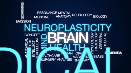 Sticker - Brain animated word cloud. Kinetic typography.