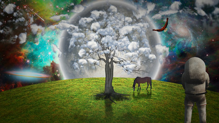 Wall Mural - Surreal meadow