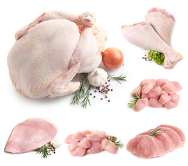 Set of raw turkey on white background