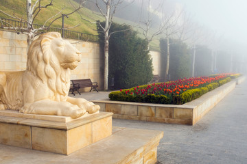 Wall Mural - sculpture of lion in foggy morning on embankment in Odessa in Ukraine