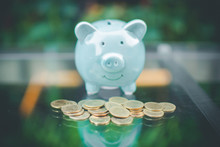 Blue Pig Piggy Bank And Money Coin With Nature Background. Soft Focus.