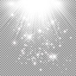 © Iskanderova.an - Vector transparent sunlight special lens flash light effect.front sun lens flash. Vector blur in the light of radiance. Element of decor. Horizontal stellar rays and searchlight.