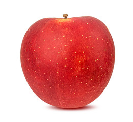 Apple on a white background