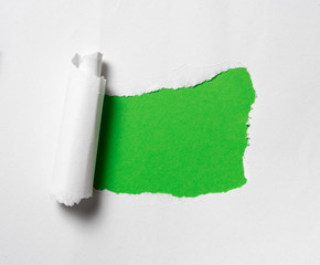 Torn paper with space for text on green background