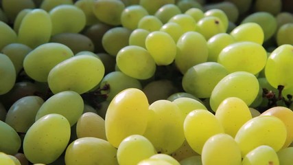 Wall Mural - Background with green grape. Bunch of green grapes