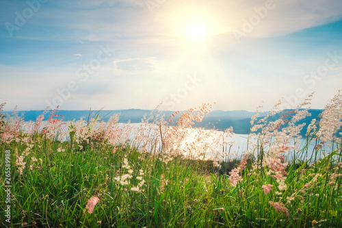 Natural scenery, flowers, grass, rivers, mountains and sunshine