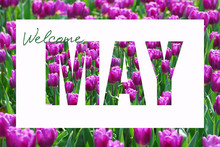 Welcome May Background