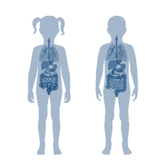 Wall Mural -  Vector illustration of child internal organs