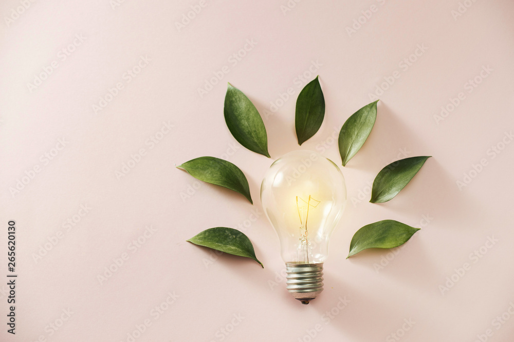 Eco green energy concept bulb, lightbulb leaves on pink background. - obrazy, fototapety, plakaty 