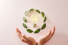 Green World In The Heart Hand With Light Bulb - Pink Background