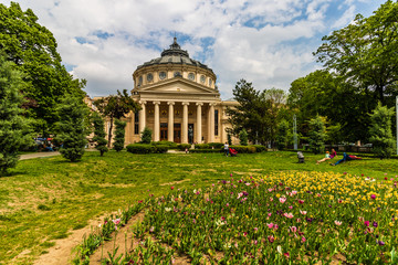 Wall Mural - Bucharest, Romania - 2019.  People in front of the Romanian Athenaeum in the center of Bucharest, a landmark of the Romanian capital city.