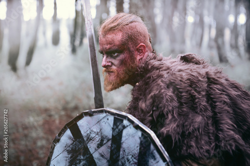 Terrifying viking prepared for the fight Canvas Print